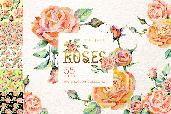 [Creativemarket] Stylish rose Watercolor_0.png
